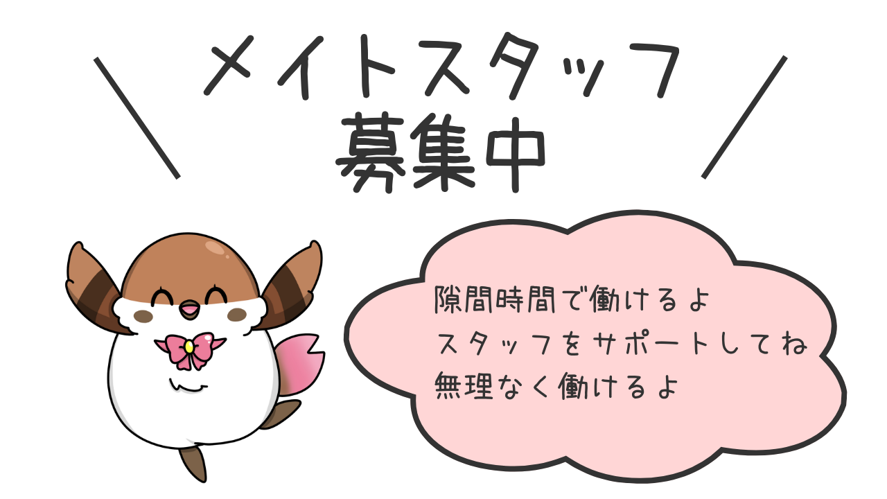 採用情報はこちら