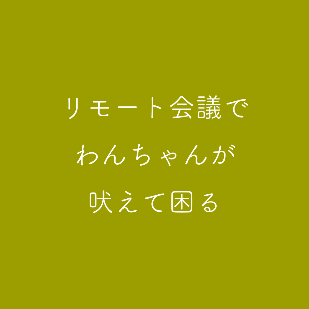 リモート会議でわんちゃんが吠えて困る