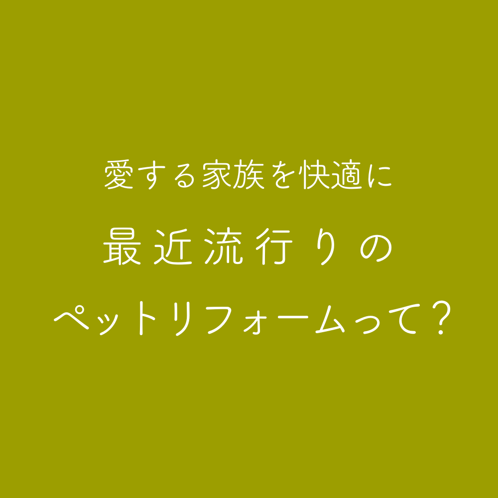 愛する家族を快適に 最近流行りのペットリフォームって？